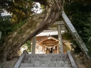 織幡宮 大年神社（波津）