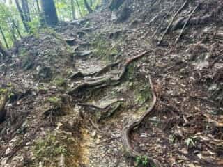 四国八十八ヶ所霊場 第11番札所 藤井寺〜第12番札所 焼山寺