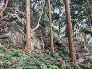 若杉山遺跡の巨石群