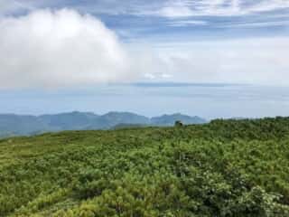 羅臼岳からの展望