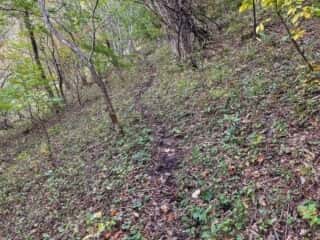 七折の滝 登山道