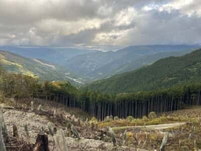 土佐矢筈山・小桧曽山