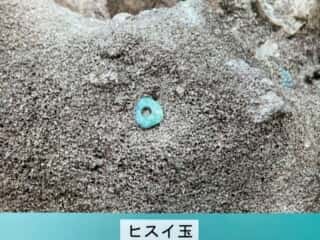 徳之島 トマチン遺跡