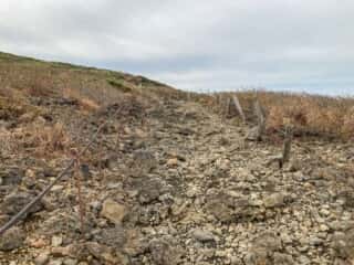 秋田駒ヶ岳登山道