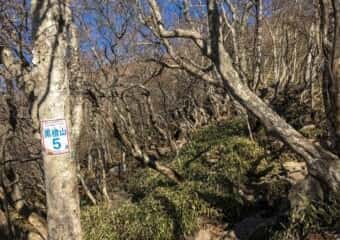 黒檜山 登山道
