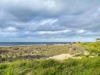 徳之島 みやどばる (犬田布海岸)