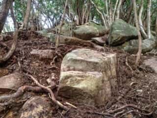 ビシャゴ磯 裏山の巨石群