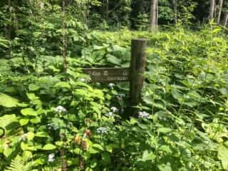 恐山 (大尽山) 登山道