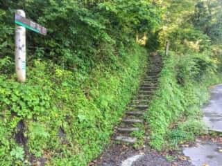 大山登山道