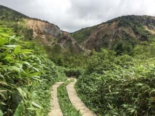 砂防新道 登山道