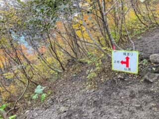 岩手山登山道