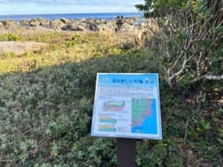 室戸岬ジオパーク