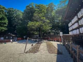 下鴨神社　細殿御所
