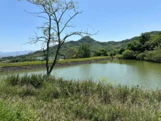 四国八十八ヶ所霊場 第82番札所 根香寺〜第83番札所 一宮寺