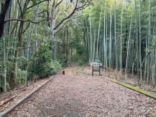 四国八十八ヶ所霊場 第41番札所 龍光寺〜第42番札所 仏木寺