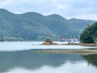 奄美大島 久場立神 千年松跡地