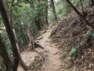 筑波山登山道