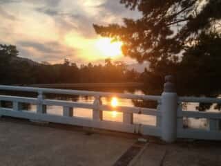 大天橋から夕日を望む