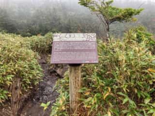 八幡平 めがね沼