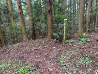 いやしの宿八丁坂〜四国八十八ヶ所霊場 第46番札所 浄瑠璃寺