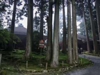 延暦寺 常行堂・法華堂