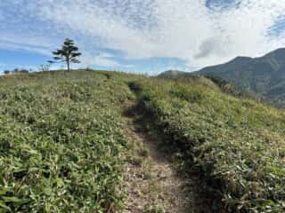 矢筈山・石堂山