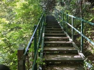 山上ヶ岳（大峯山）登山道