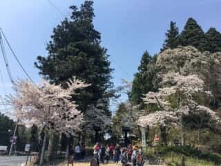 中尊寺