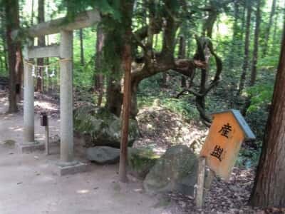 真名井神社