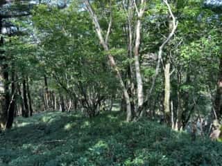 矢筈山・石堂山