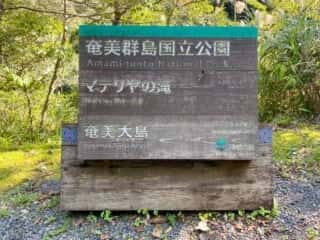 奄美大島 マテリヤの滝壺