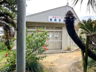 徳之島 金見崎ソテツトンネル