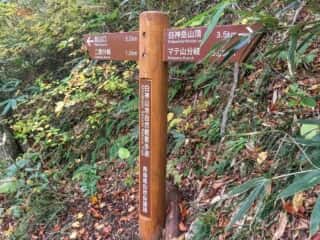 白神岳登山道