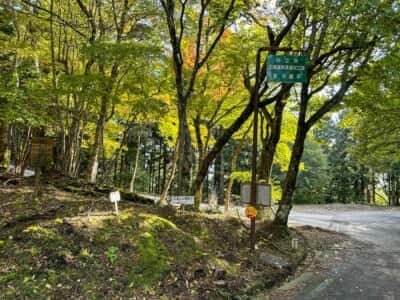杖立峠
