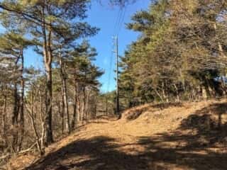 石投山 黒森山 登山道