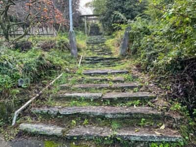 山崎忌部神社
