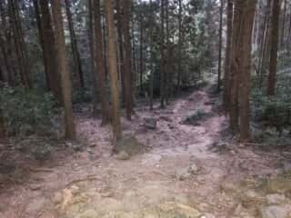 筑波山登山道
