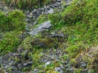 名水百選 剣山御神水