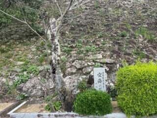 四国八十八ヶ所霊場 第23番札所 薬王寺