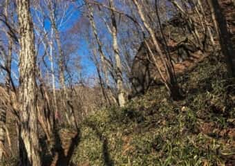 黒檜山登山道