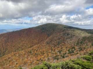 鶏頭山のビュー