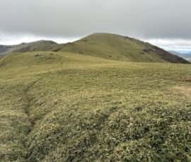 土佐矢筈山