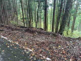 矢筈山・石堂山
