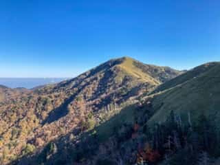 剣山・次郎笈 登山道の景色