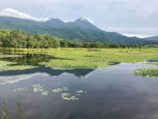 知床五湖 地上遊歩道