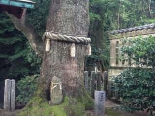 綿都美神社　地主神