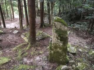 熊野神社遺跡の遺構
