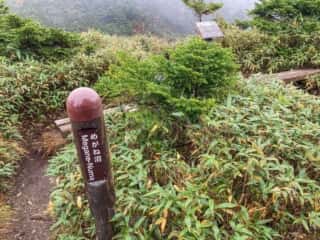 八幡平 めがね沼