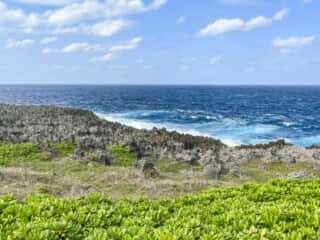 沖永良部島 フーチャ