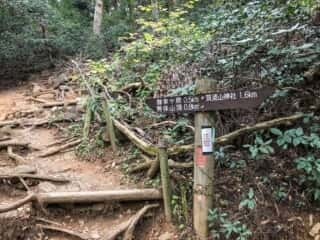 筑波山登山道
